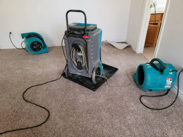 Best Residential water damage restoration  in West Point, MS