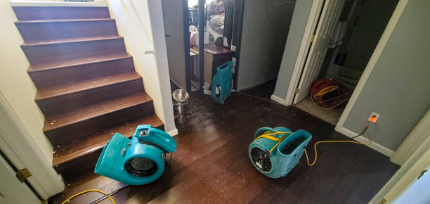 Best Residential water damage restoration  in West Point, MS