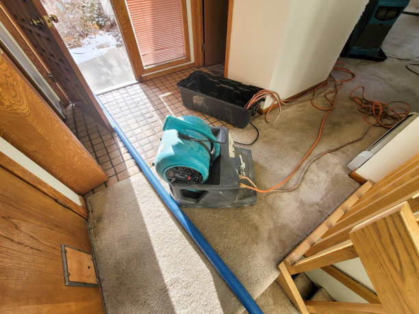Best Water damage contractors near me  in West Point, MS