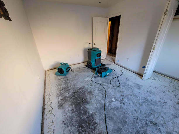 Reliable MS Water damage restoration Solutions