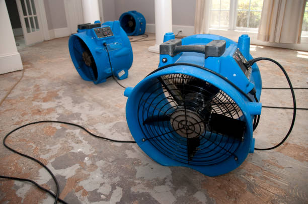 Water damage restoration experts in MS