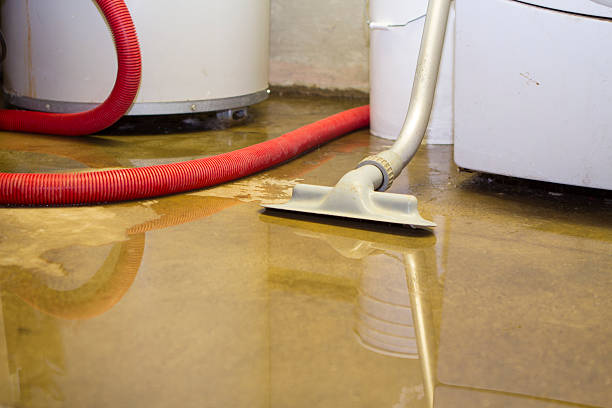 Best Fire Damage Restoration  in West Point, MS