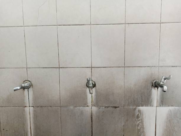 Best Flood damage cleanup  in West Point, MS