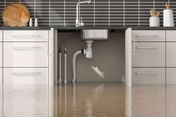Best Water damage restoration experts  in West Point, MS