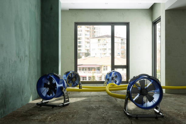 Best Commercial water damage restoration  in West Point, MS
